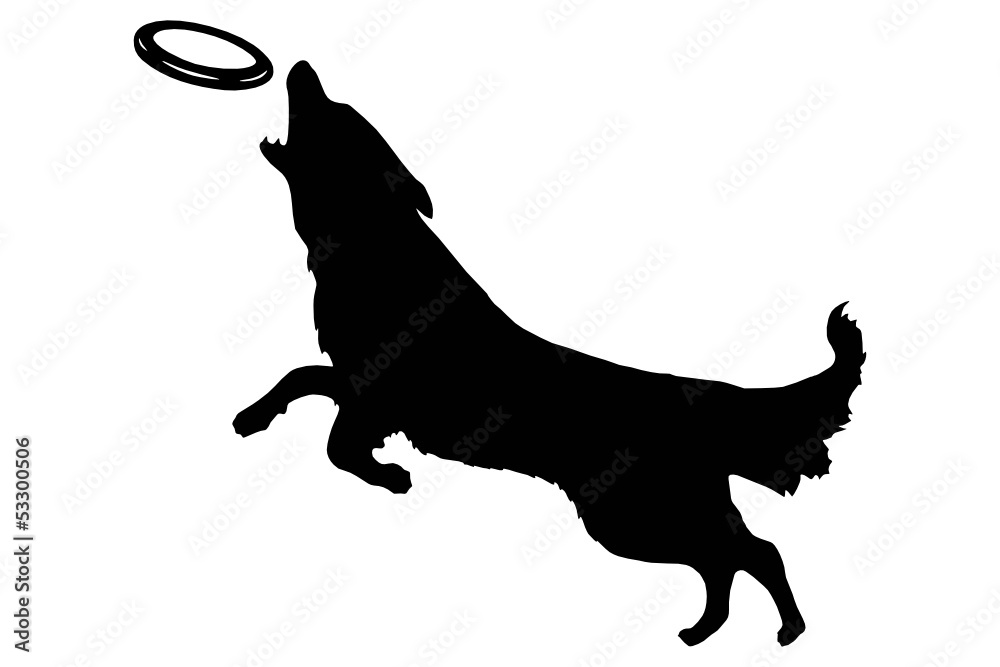 Hund mit Frisbee Stock Vector | Adobe Stock