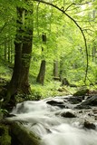 160_f_53301937_ogvuda7hcj67j1wlna8ha4hjayaplnma
