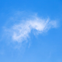 Wall Mural - one light cloud in march blue sky,