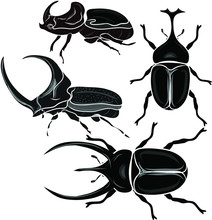 Beetle Silhouettes