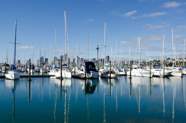 Wall Mural - Westhaven Marina - Auckland