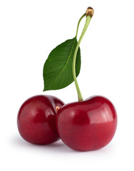 Cherries with the leaf isolated on white. Clipping path