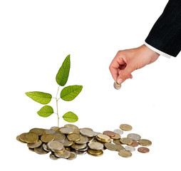 Investment to green business