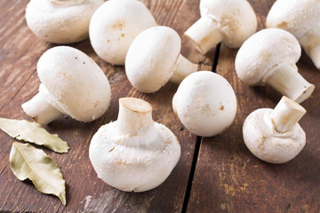 Wall Mural - Bunch of fresh white mushrooms