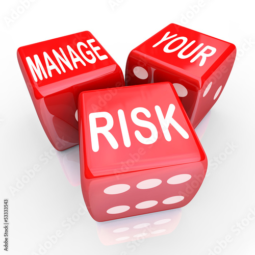 Fotografie, Obraz Manage Your Risk Words Dice Reduce Costs Liabilities