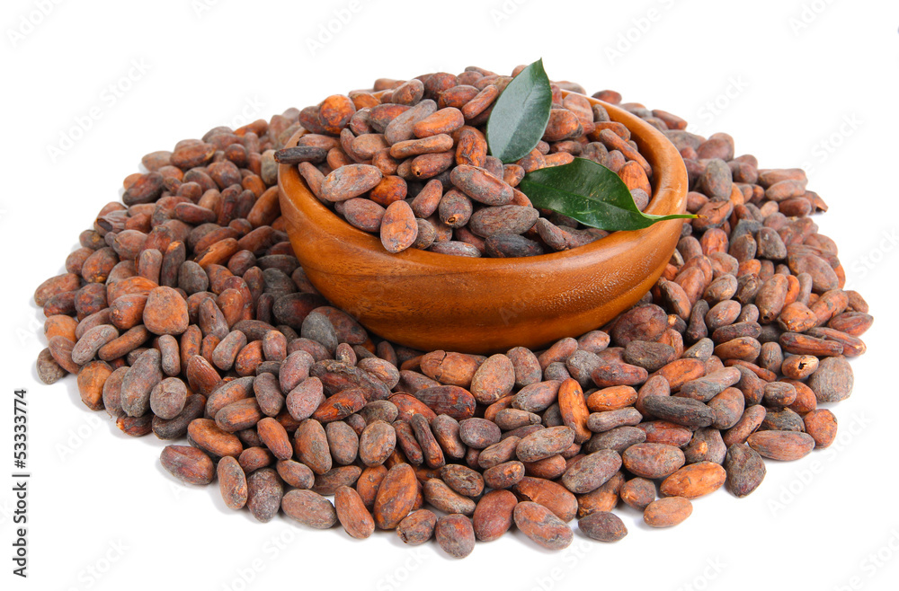 Cocoa beans in bowl with leaves, isolated on white