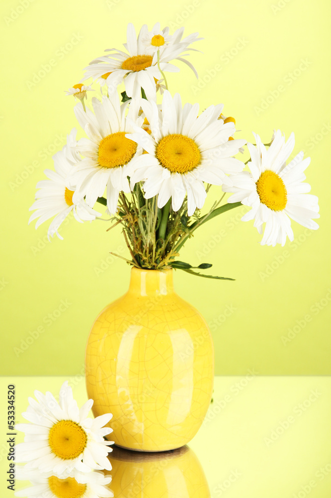 Beautiful bouquet chamomiles in vase on color background