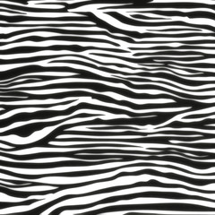 Wall Mural - Zebra seamless pattern