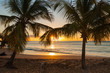 sunset beach palm trees waves