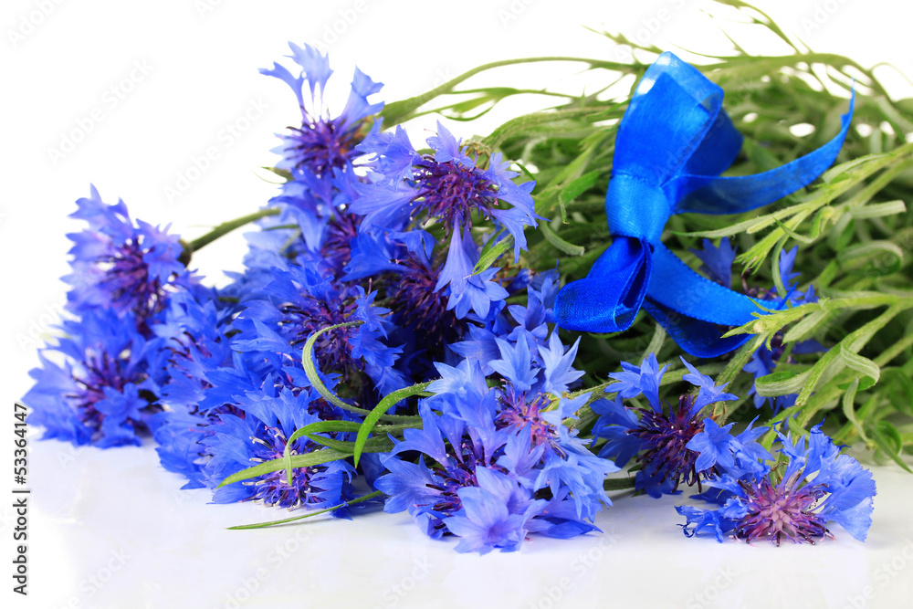 Beautiful bouquet of cornflowers ,isolated on white