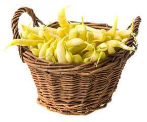 Wall Mural - yellow beans in a basket