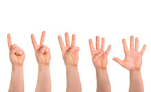 One To Five Fingers Count Hand Gesture Isolated
