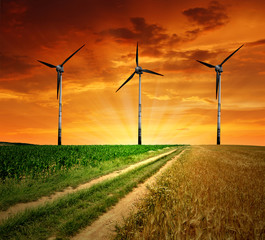 Field way with wind turbines