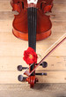 violin y rosa