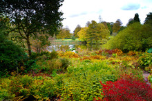 Colourful Gardens In Autumn At Forde Abbey Dorset England