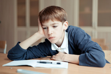 Wall Mural - Diligent student sitting at desk, classroom