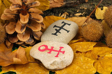 Wall Mural - Fortune telling  with symbols on stones close up