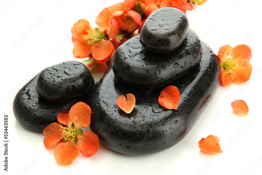 Spa stones and flowers isolated on white
