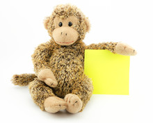 Little Monkey With Note Pad
