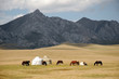 Shepherds Yurt tent  with horses, Kyrgyzstan mountain scenery