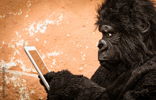 Fényképezés  Gorilla with digital Tablet