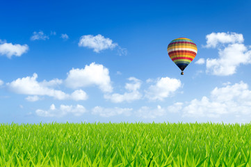 Wall Mural - Colorful hot air balloon over green fields