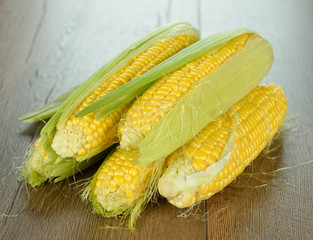 fresh corn