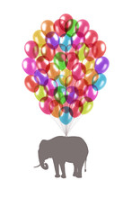 Elephant Flying On Colorful Balloons