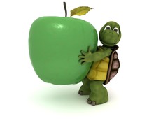Tortoise With An Apple