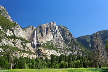 Wall Mural - Yosemite Falls