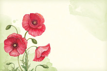 Artistic Background With Watercolor Illustration Of Poppy Flower