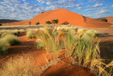 Desert landscape, Sossusvlei