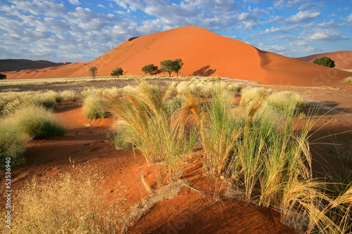 Obraz w ramie Desert landscape, Sossusvlei