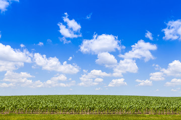 Wall Mural - American Country Landscape