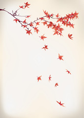 maple leaves