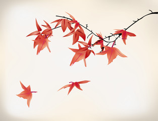 Wall Mural - maple leaves