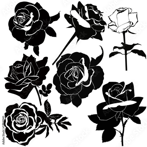 Naklejka - mata magnetyczna na lodówkę vector collection of rose flowers isolated