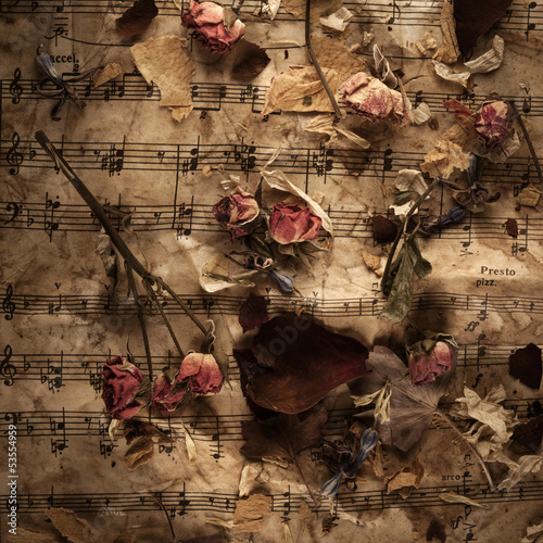 Fototapeta na wymiar Old music notes with dry roses