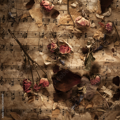 Naklejka - mata magnetyczna na lodówkę Old music notes with dry roses