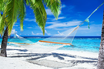 Wall Mural - Hammock between palm trees on tropical beach