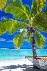 Wall Mural - empty hammock under palm tree on the beach
