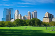 Meadow - Central Park - New York