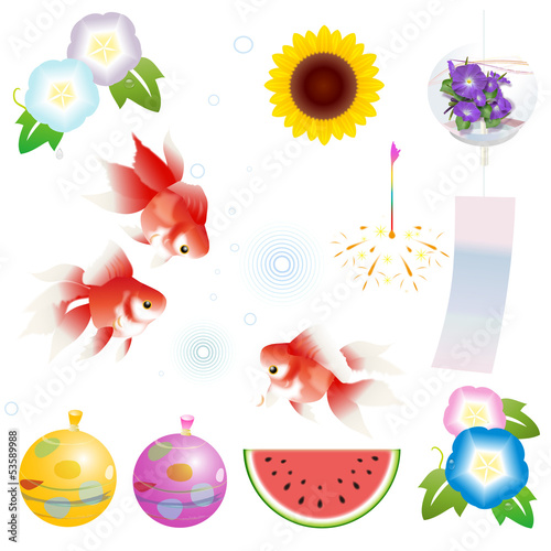 29 999 Morning Glory Wall Murals Canvas Prints Stickers Wallsheaven