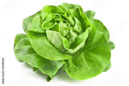 Fototapeta na szkło Fresh lettuce