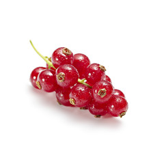 Wall Mural - berries on a branch with drops on it isolated on white