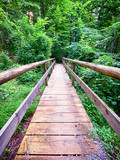 Fototapeta Pomosty - old wooden footbridge