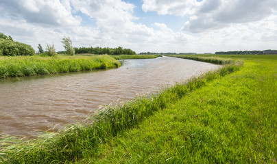 Wall Mural - Curved stream in an agricultural landscape in the Netherlands