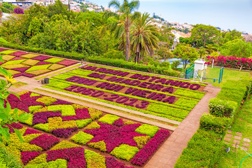 Botanical garden, Funchal, Madeira