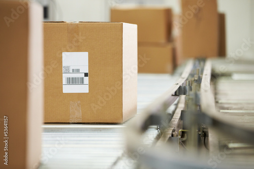 Cuadros en Lienzo Goods On Conveyor Belt In Distribution Warehouse