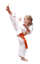 Professional Girl Does Karate Kick